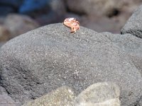 DSC08843 : David von der Mehden