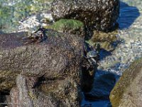 DSC08844 : David von der Mehden