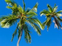 DSC08847 : David von der Mehden