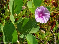 DSC08854 : David von der Mehden