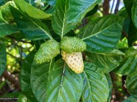 DSC08858 : David von der Mehden