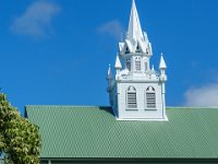 DSC08860 : David von der Mehden