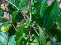 DSC08869 : David von der Mehden