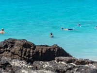 DSC08894 : David von der Mehden