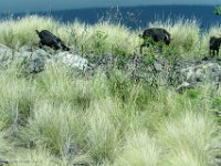 DSC08902 : David von der Mehden