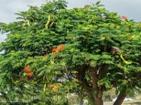 DSC08904 : David von der Mehden