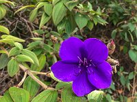 IMG 1488 : David von der Mehden