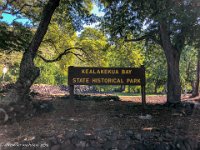 IMG 1495 : David von der Mehden