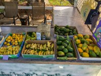 IMG 1498 : David von der Mehden