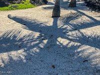 IMG 4919 : David von der Mehden