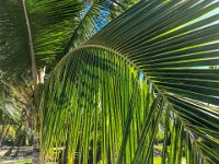 IMG 4921 : David von der Mehden