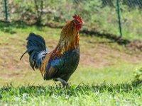 DSC08973 : David von der Mehden