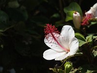 DSC08978 : David von der Mehden