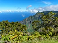 DSC08994 : David von der Mehden