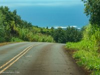 DSC09005 : David von der Mehden