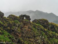 DSC09122 : David von der Mehden