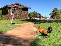 IMG 1516 : David von der Mehden