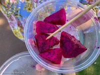 IMG 1517 : David von der Mehden