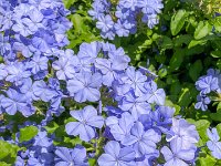 IMG 1522 : David von der Mehden