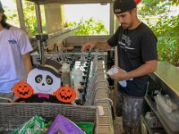 IMG 1525 : David von der Mehden