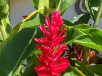 IMG 1530 : David von der Mehden