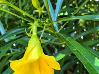 IMG 1533 : David von der Mehden