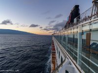 DS600982 : David von der Mehden