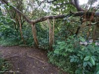 DS600989 : David von der Mehden