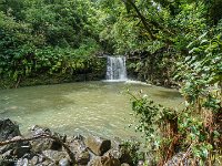 DS600994 : David von der Mehden