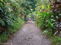 DSC08612 : David von der Mehden