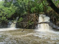 DSC08618 : David von der Mehden