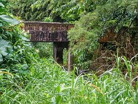 DSC08629 : David von der Mehden