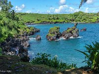 DSC08637 : David von der Mehden