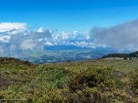 DSC08688 : David von der Mehden