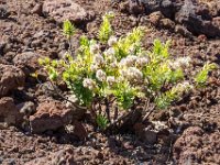 DSC08711 : David von der Mehden