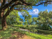 IMG 1458 : David von der Mehden