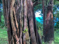 IMG 1459 : David von der Mehden