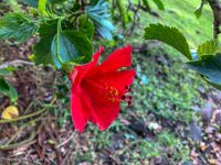 IMG 1471 : David von der Mehden