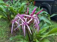 IMG 1472 : David von der Mehden