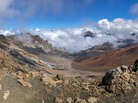 IMG 1479 : David von der Mehden