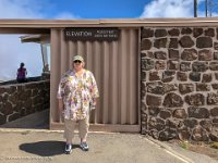 IMG 4885 : David von der Mehden