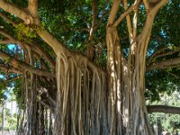 DS600963 : David von der Mehden