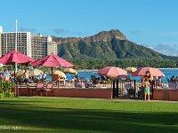 DSC08109 : David von der Mehden