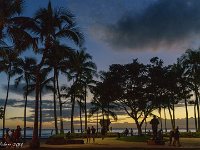 DSC08118 : David von der Mehden