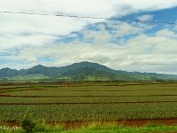 DSC08132 : David von der Mehden