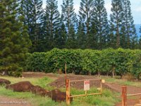 DSC08134 : David von der Mehden