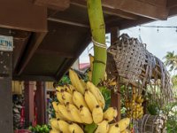 DSC08167 : David von der Mehden