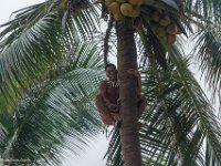 DSC08175 : David von der Mehden