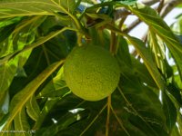 DSC08187 : David von der Mehden