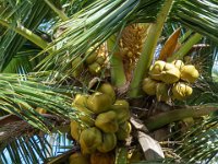 DSC08189 : David von der Mehden